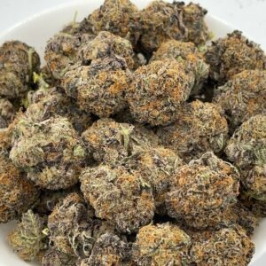 Black Cherry Gelato High End Exotic