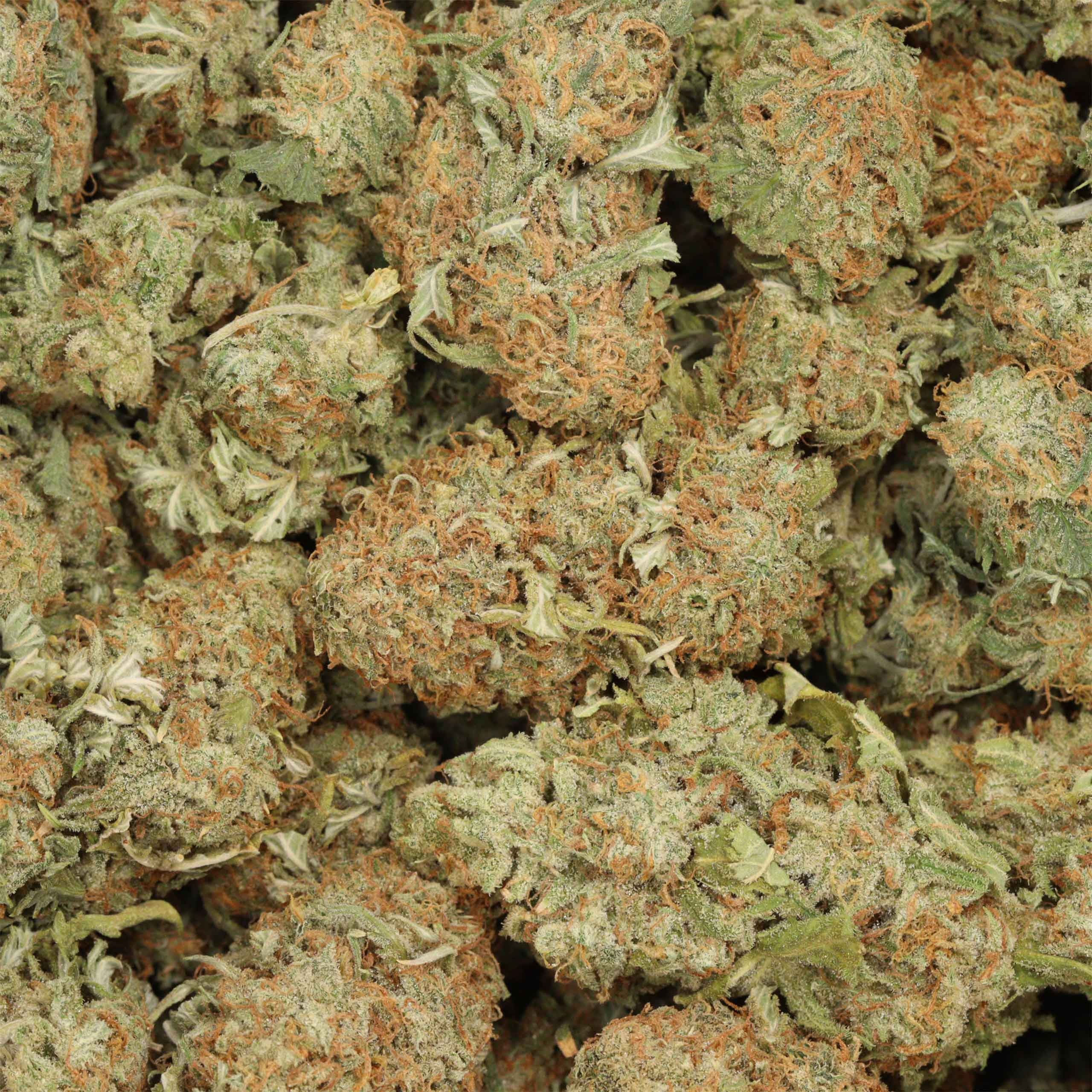 White Sherbert Purple, Strong, Great Value