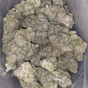 Space Runtz Indoor Excellent Value