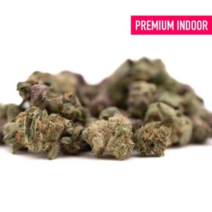 Super Runtz Indoor Excellent Value