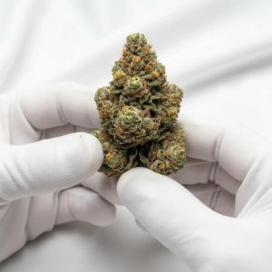 Divinity THCA Hemp Flower