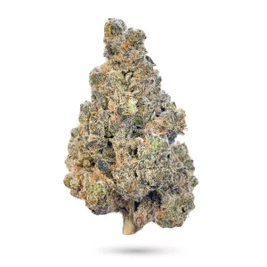 THCa Flower  Durban Poison
