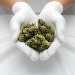Gary Eyes THCA Hemp Flower