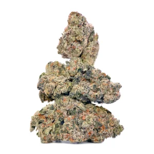 Wyatt Purp (PLATINUM)