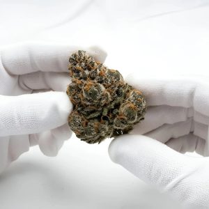 Glitter Bomb THCA Hemp Flower