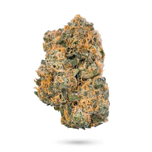THCa Flower Government Oasis