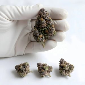 Grape Pie THCA Hemp Flower