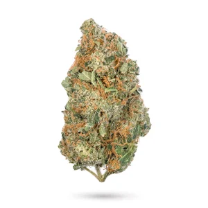 Jack Frosty