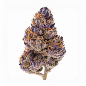 Jealousy THCA Hemp Flower