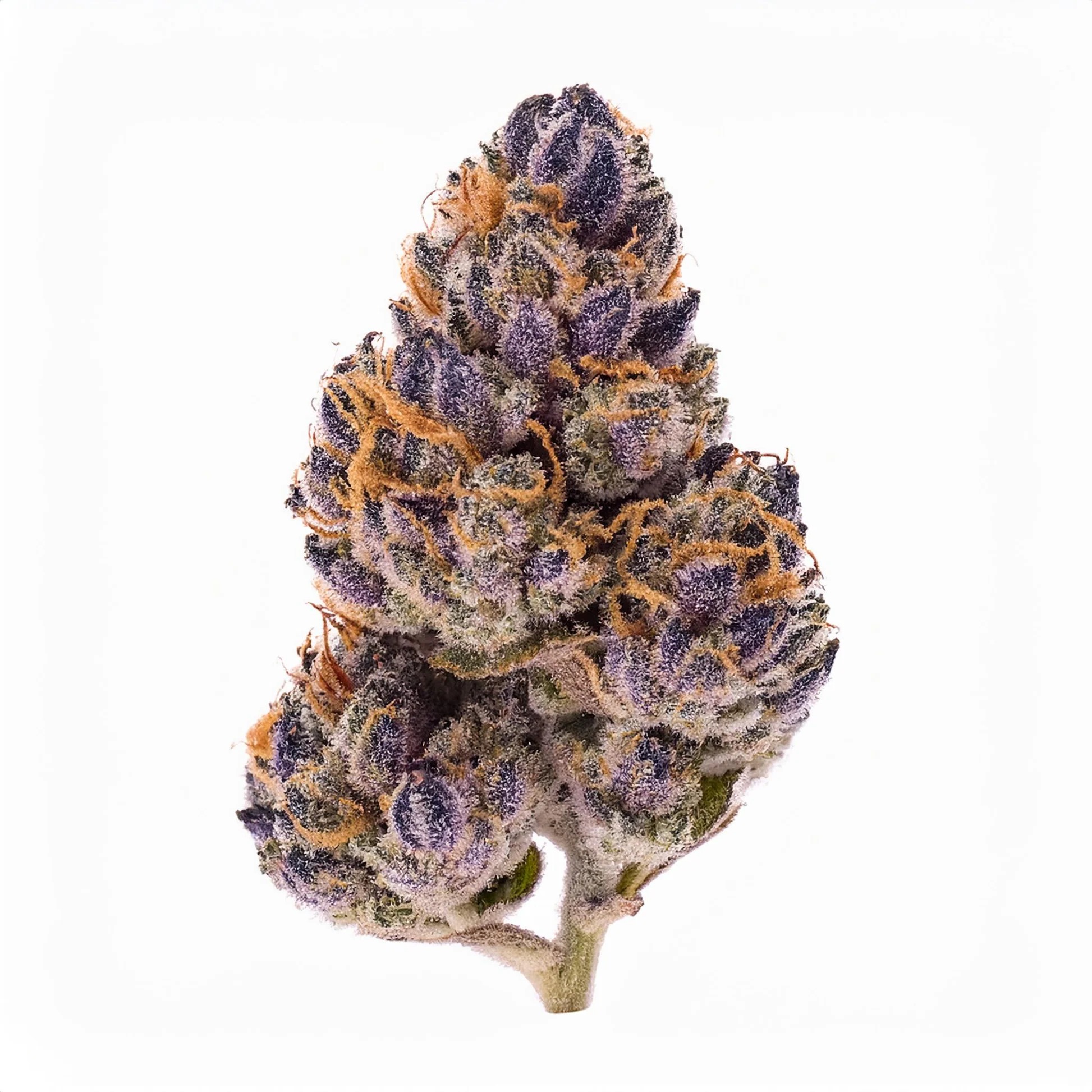 Jealousy THCA Hemp Flower