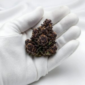 Jealousy THCA Hemp Flower