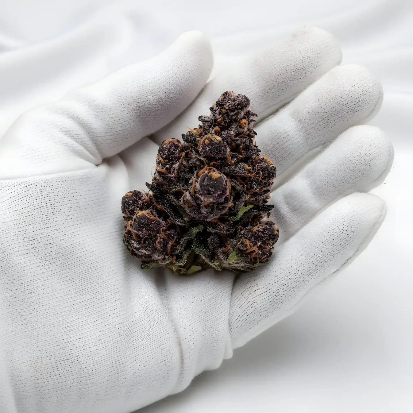 Jealousy THCA Hemp Flower