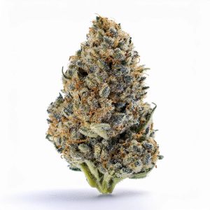 Lemon Cherry Gelato THCA Hemp Flower