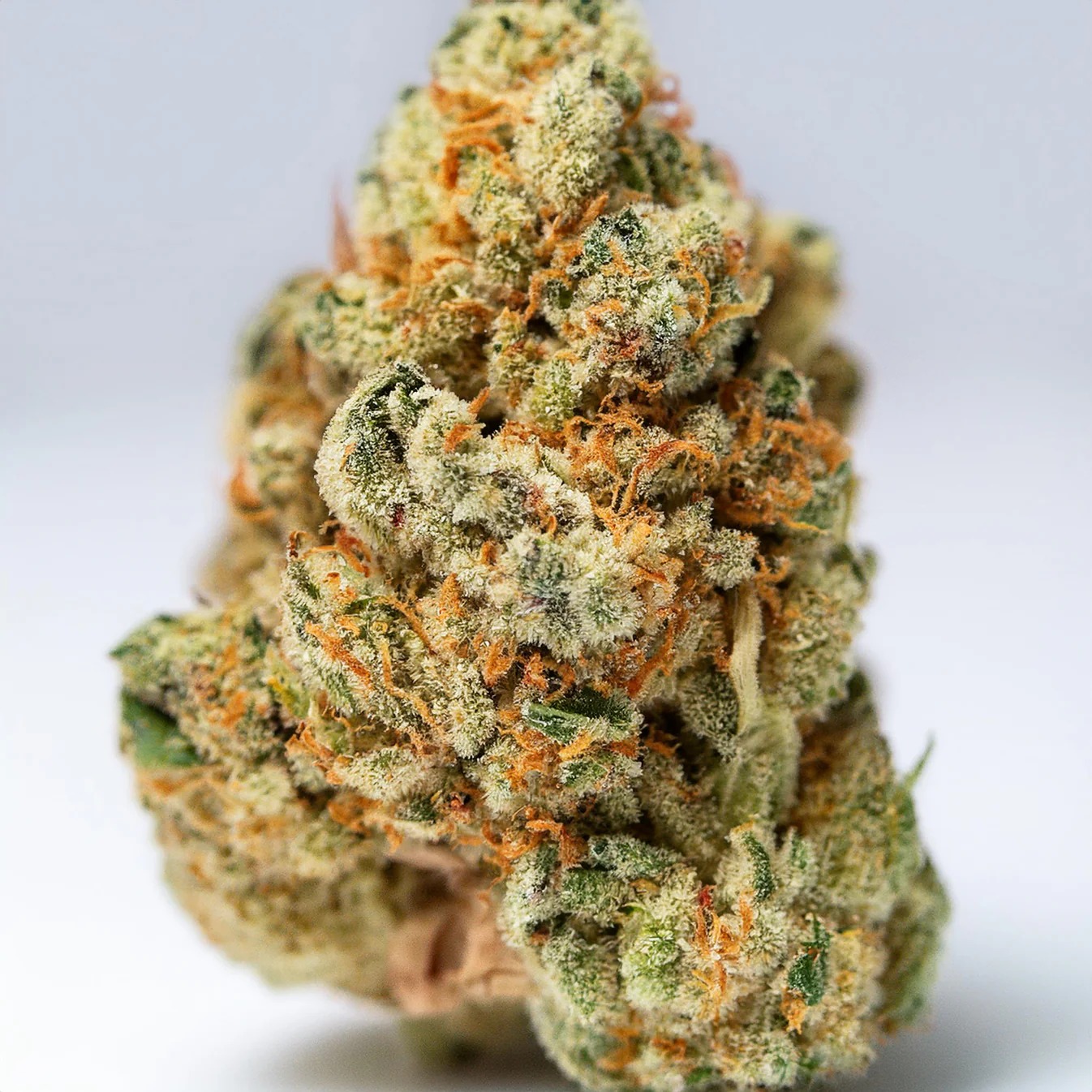Lemon OG Kush THCA Hemp Flower
