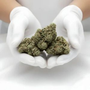 Mitten Cake Badder THCA Hemp Flower
