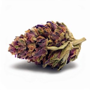 Purple Haze THCA Hemp Flower