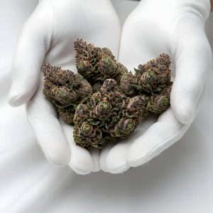 Super Boof THCA Hemp Flower