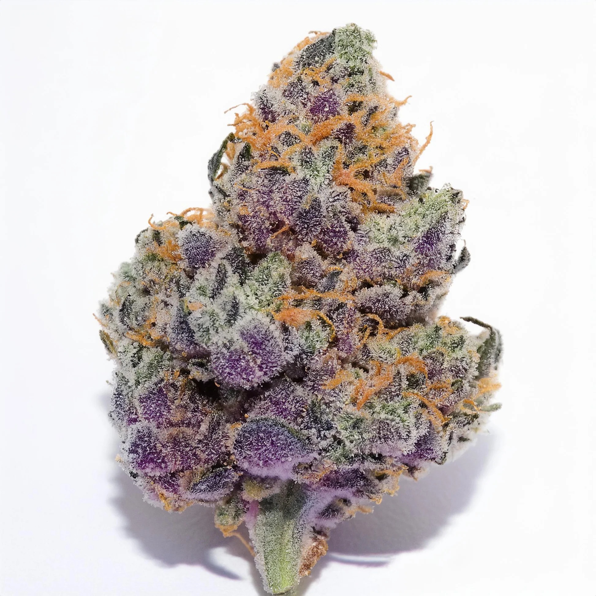 Tokyo Snow THCA Hemp Flower