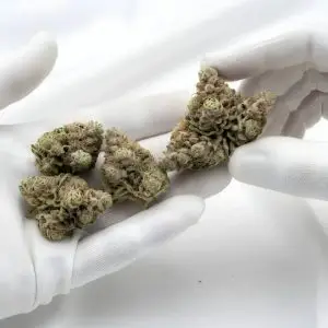 Windu THCA Hemp Flower